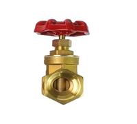 1 pz 1/2" 3/4" 1'' Filettatura femmina-femmina Valvole a saracinesca in ottone a due vie DN15 20 25 Valvola di commutazione dell'acqua Valvole a saracinesca con filettatura interna(DN20,Heavy)