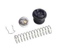 1 Pz 77707-0010 Kit Regolatore Termico Adatto per Riscaldatori per Piscine 3868