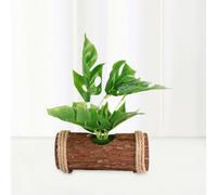 1 Pz Artificiale Bonsai Desktop Miniascape Plastica In Vaso Miniatura Paesaggio