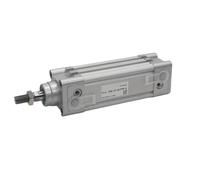 1 pz Cilindro pneumatico standard in alluminio Cilindro pneumatico alesaggio 32 40 50 63 80 100 mm corsa 25-1000 mm DNC-50-125-PPV-A(100-PPV-A,DNC40)