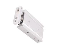 1 pz Cilindro scorrevole biassiale TR10x10x20x30x50x75x100x125x150S Barre parallele TR10-20 TR10-30 40 50 60(TR10X100S)