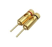 1 pz. Connettore a banana maschio da 2 mm placcato oro con bloccaggio a vite for altoparlante dritto in ottone(Red)