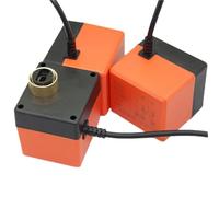 1 pz DN15 DN20 DN25 DN32 DN40 DN50 Attuatore for valvola a sfera motorizzata Tre fili Due controlli DC24V DC12V Motore for valvola a sfera(DN32,24VAC)