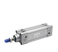 1 pz DNC-32-40-PPV-A DNC-50-125-PPV-A componenti pneumatici cilindro alesaggio 32 40 50mm corsa 25-320mm DNC-40-80-PPV-A(250-PPV-A,DNC-50-)