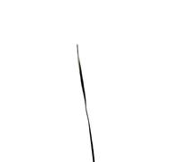 1 pz. Fili riscaldanti in fibra di carbonio conduttivi - 10 metri di fili for elettrodi in fibra di carbonio pura resistenti allo stiramento(3K)