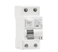 1 pz GYL9 A tipo RCCB interruttore differenziale AC ELCB 2 poli 40 A 63 A 30 mA 100 mA 300 mA RCD ELCB(2P 63A,30mA)