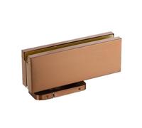 1 pz Kit di montaggio for chiudiporta a molla da pavimento for vetro singolo Oro rosa Nero opaco(Rose Gold-B)