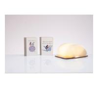 1 PZ Libro Luminoso La Tipa 12x9 cm 2 Ass. Lampada LED Ricarica USB Bomboniere 2