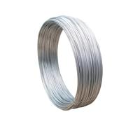 1 PZ Lunghezza di 10 M In Acciaio Inox Molla Filo Filo Rigido Singolo Filo Rigido Molla Diametro Filo Acciaio 0.2-3MM (1.6MM)