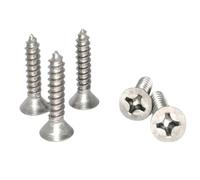 1 pz M3 M4 M5 M6 X 8 10 12 15 16 20 25 30mm TA2 GR2 | Viti autofilettanti a testa piatta Phillips svasata in titanio(M3 x 25mm)