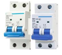 1 pz NB1Z-63 NB1-63H 1P 2P 10A 16A 20A 25A 32A 40A 50A 63A Interruttore automatico dell'aria(2P,NB1-63H,3A)