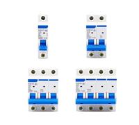 1 pz NXB-63 DZ30 DZ40 EPN DPN TPN 1P 2P 3P 4P AC 230/400V Interruttore automatico Montaggio su guida DIN Interruttore pneumatico domestico in miniatura(2P,100A)