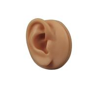 1 pz Orecchio Naso Labbro Ombelico Lingua Tatuaggio Modello in Silicone Tatuaggio Puntura Pratica Simulazione Parte del Corpo Umano Display Piercing Gioielli(Ear R Coffee)