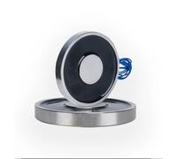 1 pz P13/27 Elettromagnete rotondo Forte aspirazione Ventosa Sollevamento industriale Trazione Piccola piastra di ferro di aspirazione elettrica DC12V 24V(DC 12V)