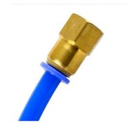 1 pz PCF 4 mm 6 mm 8 mm 10 mm 12 mm Filettatura 1/8" 1/4" 3/8" 1/2" Femmina Dritto Adattatore for raccordo rapido pneumatico for tubo pneumatico(PCF12 04)