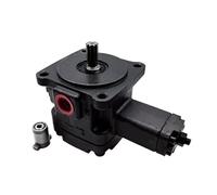 1 pz Pompa a Paletta Singola a Cilindrata Variabile Pompe Idrauliche PVF-30 for Pompe Olio a Palette PVF-30-55-10S Estremità Dell'albero Scanalato