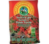 1 PZ TERRICCIO GERANI E PIANTE FIORITE TERRIFLORA LT 20 (168)