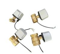 1 Pz Valvola a sfera elettrica impermeabile Ottone IP65 Tre fili Due controlli Tre fili Un controllo 220 V 24 V 12 V(3/4,12VDC_CR02)