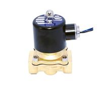 1 pz. valvola solenoide for acqua in ottone ad azione diretta normalmente chiusa da 1/2" 3/4" 1" AC220V DC12V/24V valvola elettrica(220V AC,1 Inch)
