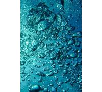 1: Ready to be filled with Memories and Thoughts, 6x9 150 Pages, 130 Lined and 20 Blank for Notes and Photos