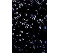 1: Ready to be filled with Memories and Thoughts, 6x9 150 Pages, 130 Lined and 20 Blank for Notes and Photos