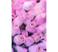 1: Ready to be filled with Memories and Thoughts, 6x9 150 Pages.130 Lined and 20 Blank for Notes and Photos