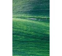 1: Ready to be filled with Memories and Thoughts, 6x9 150 Pages, 130 Lined and 20 Blank for Notes and Photos