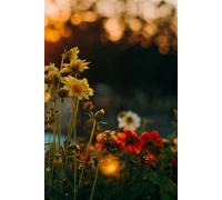 1: Ready to be filled with Memories and Thoughts, 6x90 150 Pages, 130 LIned and 20 Blank for Notes and Photos