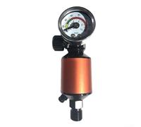 1 regolatore d'aria in linea con filtro e valvola, filettatura NPT da 1/4", adatto per compressori d'aria e applicazioni di strumenti di verniciatura HVLP