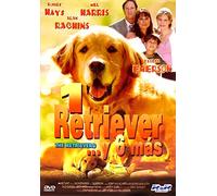 1 Retriever… y 6 más