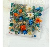 1 scatola di decorazioni per nail art con fiori secchi, colori misti, fiori veri naturali, fai da te, decalcomanie per unghie, piccoli accessori per unghie 3D freschi - XZ-552
