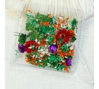 1 scatola di decorazioni per nail art con fiori secchi, colori misti, fiori veri naturali, fai da te, decalcomanie per unghie, piccoli accessori per unghie 3D freschi - XZ-555