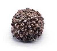 1 scatola di pigne per nascondere le chiavi, nascondere la chiave all'esterno, pigne finte per nascondere una chiave sembra vera pietra, scatola di sicurezza segreta per chiavi in giardino