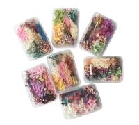 1 scatola di vero mix per gioielli in resina fiori pressati a secco per realizzare accessori artigianali adesivi trasparenti fatti a mano