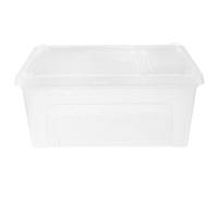 1 scatola trasparente in plastica per rettili, adatta per ragni, scorpioni,