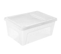 1 scatola trasparente in plastica per rettili, adatta per ragni, scorpioni,