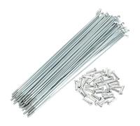 1 set 14G 160mm lunghezza raggi bicicletta nipplo acciaio al carbonio zincato