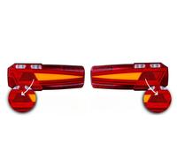 1 Set 6 Fanali Posteriori LED NEON 12V/24V Riflettore e Triangolo Omologati E...