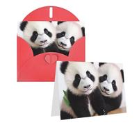 1 set di biglietti di ringraziamento con buste, baby panda, 10,2 x 15,2 cm, elegante biglietto vuoto per note personalizzate, biglietto formale per tutte le occasioni, adatto per piccole imprese, baby