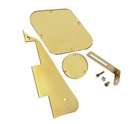 1 set di coperchio della cavità del convertitore di controllo del battipenna per chitarra e staffa e viti per parti di chitarra Professionale Battipenna per Chitarra Elettrica (Color : Gold Mirror)