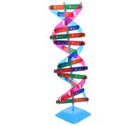 1 set di DNA di DNA a doppia fornitura di materiale