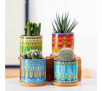 1 set di fioriere succulente cilindriche mini vaso di fiori in ceramica mandala