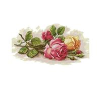 1 set di kit punto croce stampato modello rosa fai-da-te per principianti