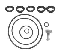 1 set di parti per filtro a sabbia: comode guarnizioni rotonde in PVC per la