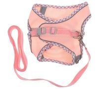 1 set di pettorina per cani, pettorina decorativa per cuccioli, corda da