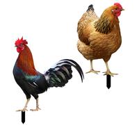 1 set di segnali di del cortile acrilico segnali di gallina realistica a
