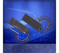 1 Set Di Spazzole Carbonio Compatibili Con AEG LAVAMAT D 500 W, LAVAMAT D 600 WS