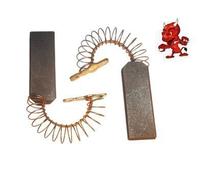 1 Set di Spazzole di Carbonio Carboncino Adatto per AEG Lavamat 6665