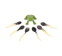 1 set di statuette di rane in miniatura: statuette realistiche di rane e girini