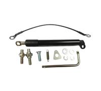 1 Set Di Supporti Per Ammortizzatori A Gas Per Portellone Posteriore Per Auto Per Lsuzu Per D-MAX Puntoni del cofano automobilistico